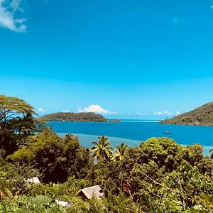 Tupuna *** Haapu